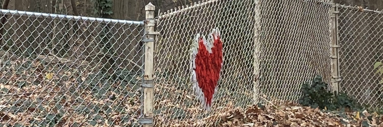 haleyfurlong_'s profile banner image