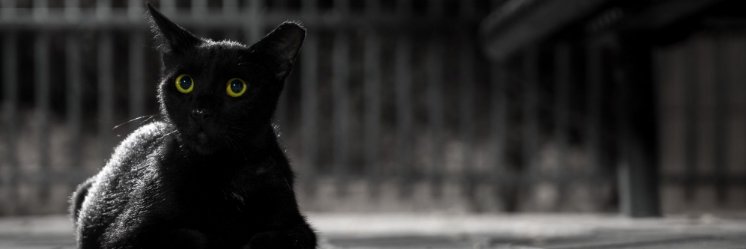 Memur_zede's profile banner image