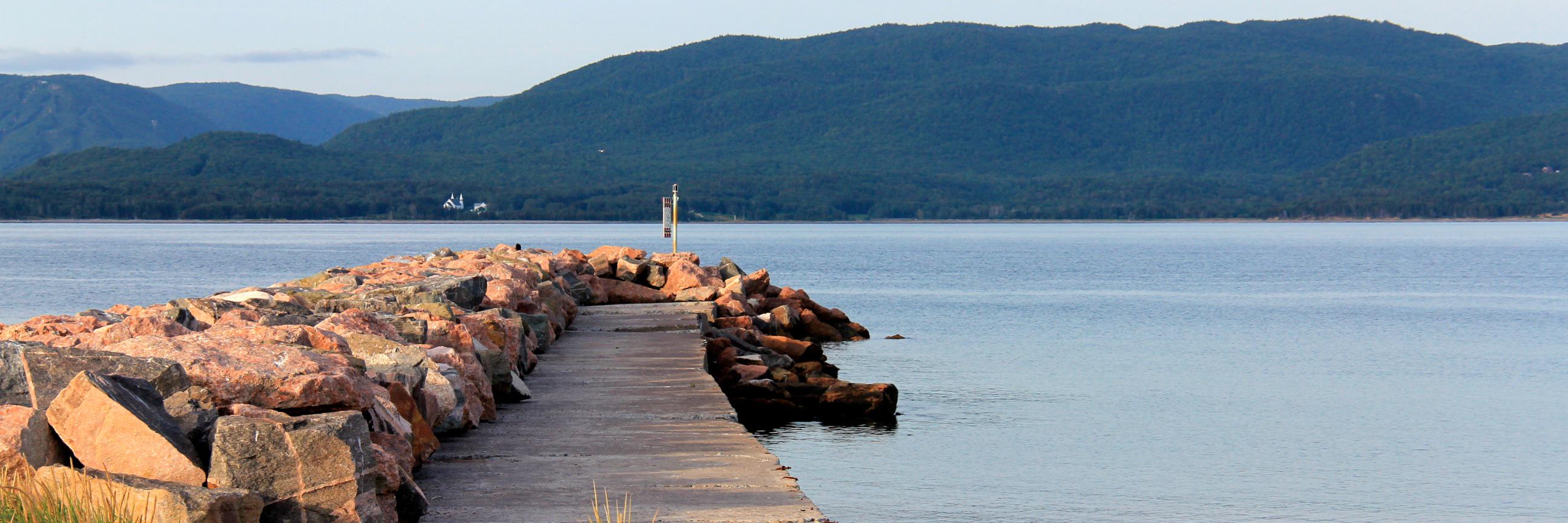 Seaside Chiropractic banner