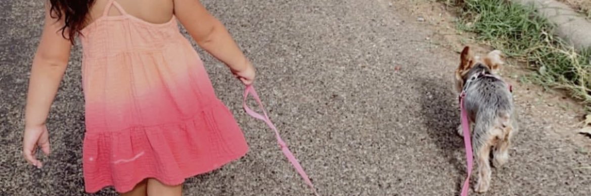 Brittany Sanchez banner