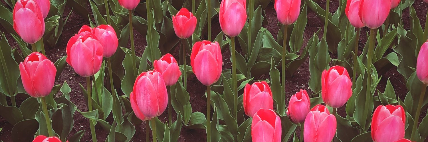 heatherconroy12's profile banner image