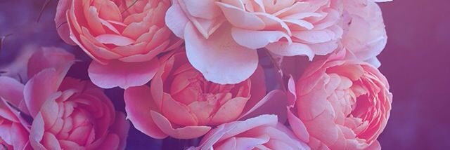 Kendra773's profile banner image