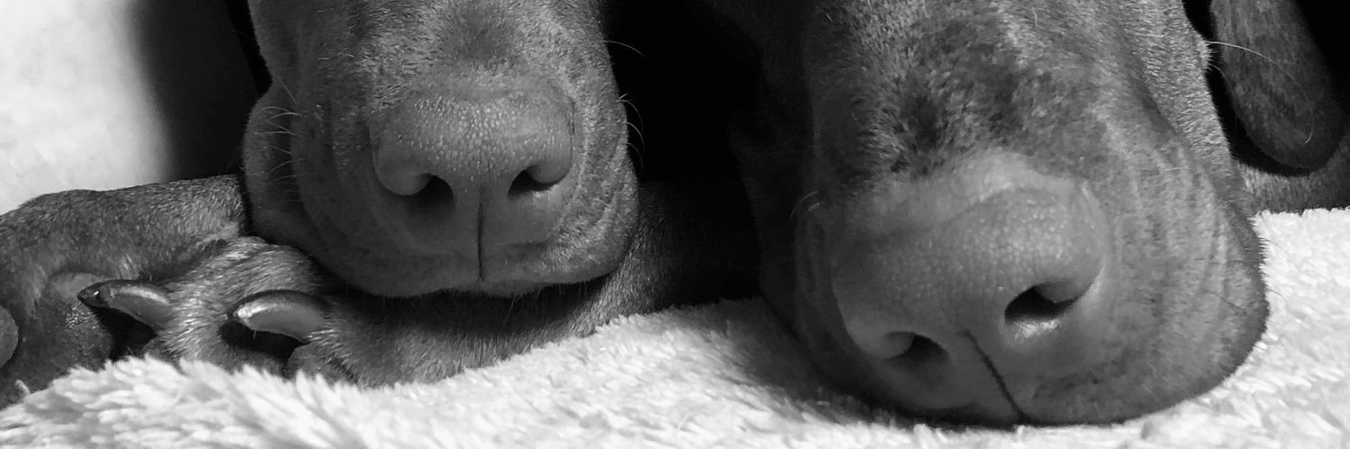 anne_h14's profile banner image