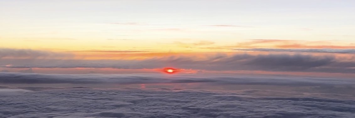 corinneahearn's profile banner image