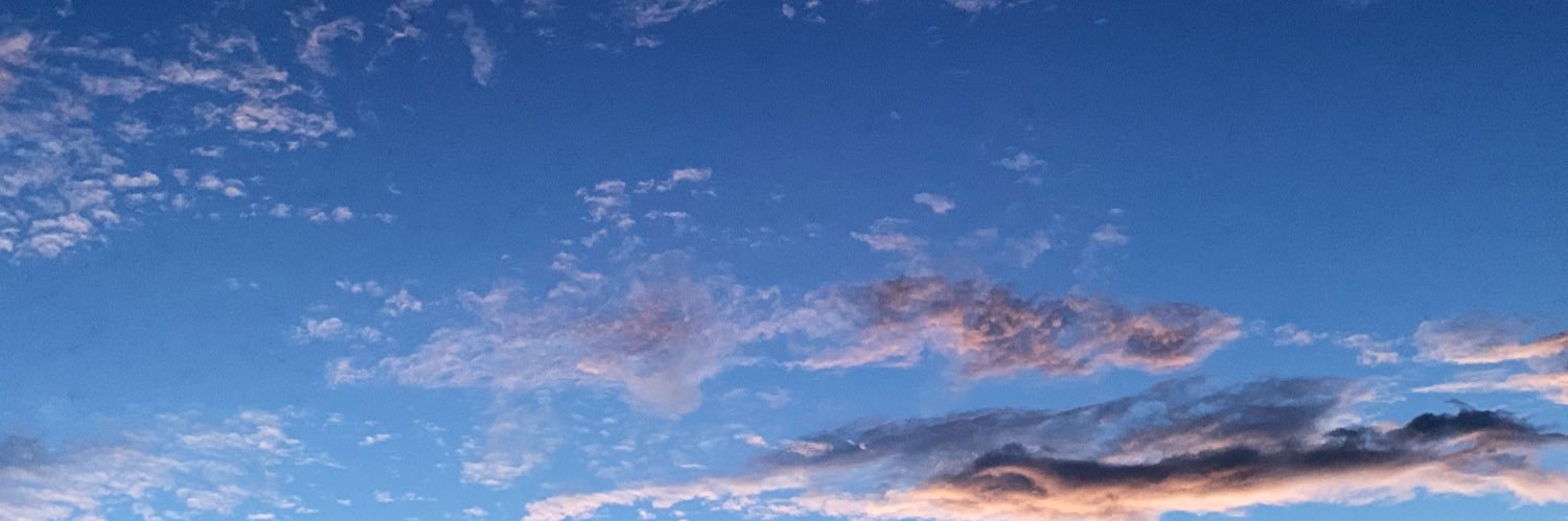 a631230v's profile banner image