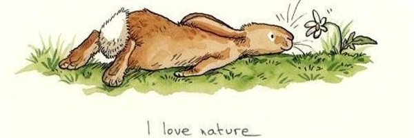 foxyflic Profile Banner