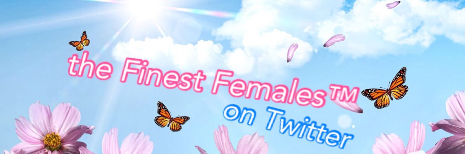 FineFems's profile banner image