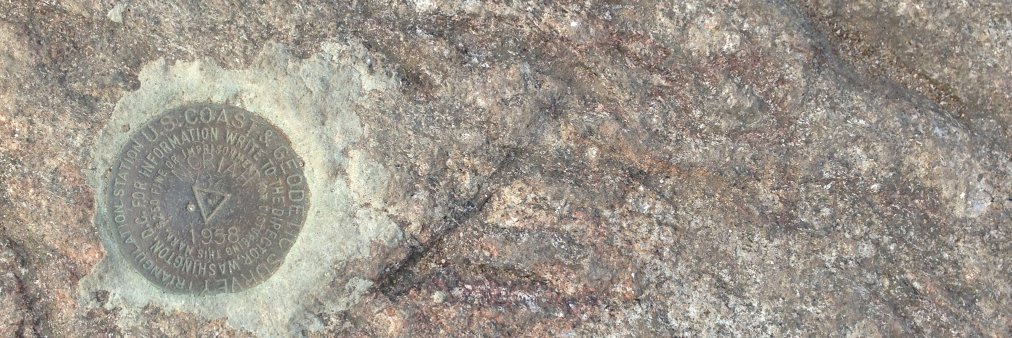 Max Ehrenfreund banner