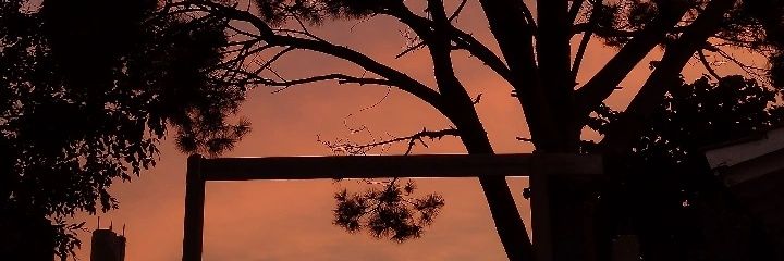 eveluf's profile banner image
