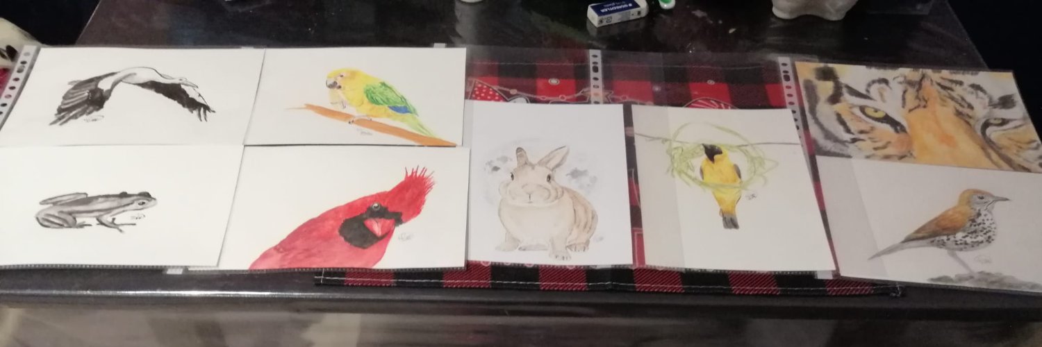 Wingy ~ ♥️🛌🏻♿🏳️‍🌈🦄🐕‍🦺 banner