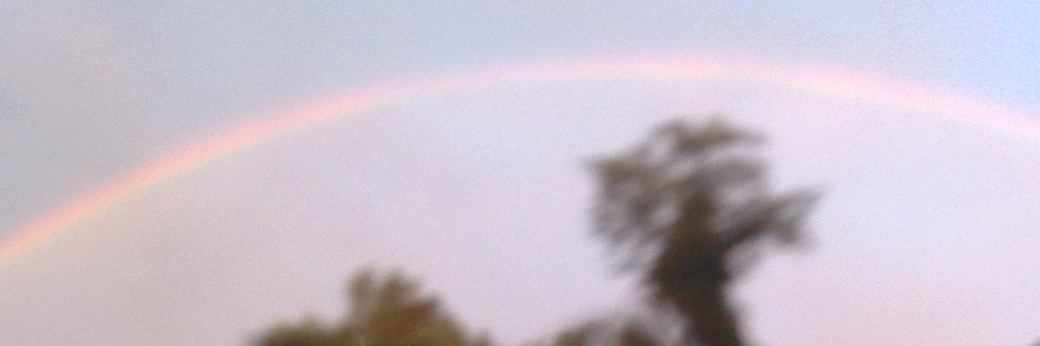 Mehmet Yilmaz banner