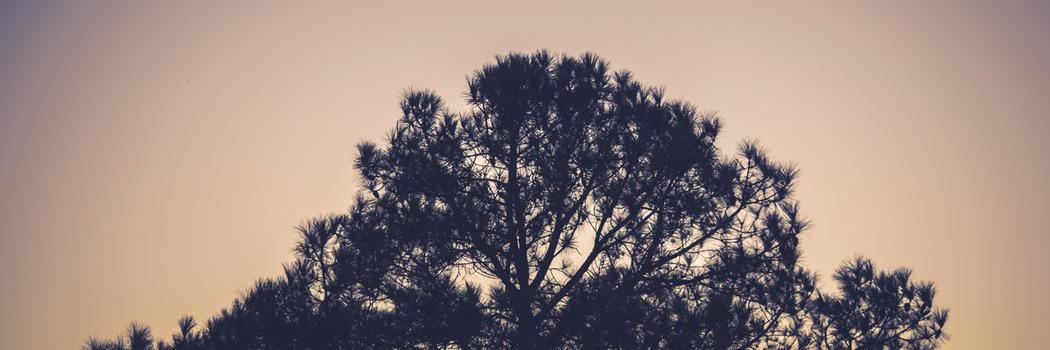 free_ofordinary's profile banner image