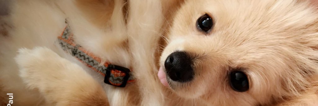 Janettev_03's profile banner image