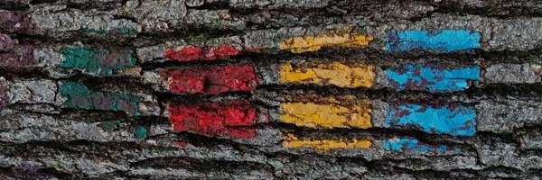entoenthusiast Profile Banner