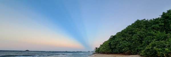 pizarro_a Profile Banner