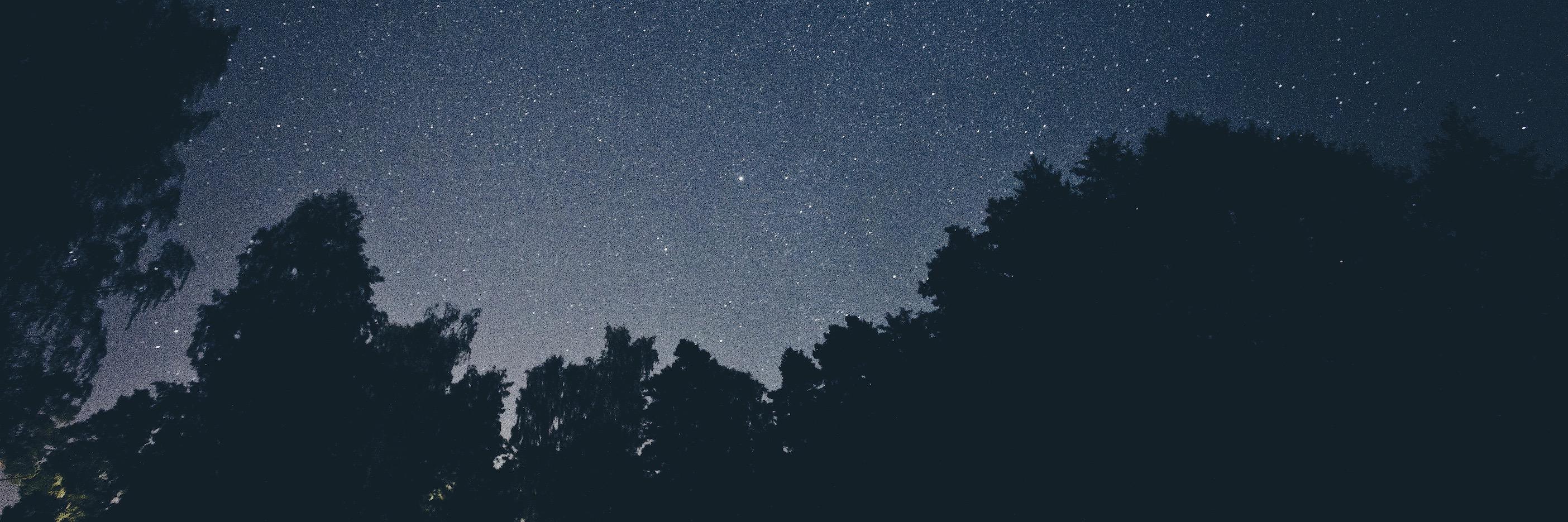 reactdesigners_'s profile banner image