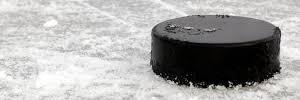 WSHL Blog banner
