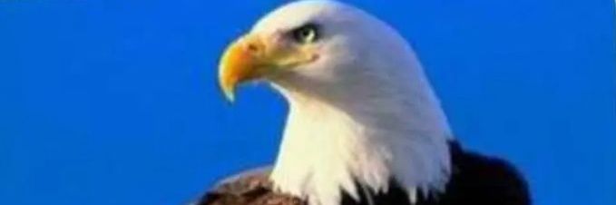 SwillMavua's profile banner image