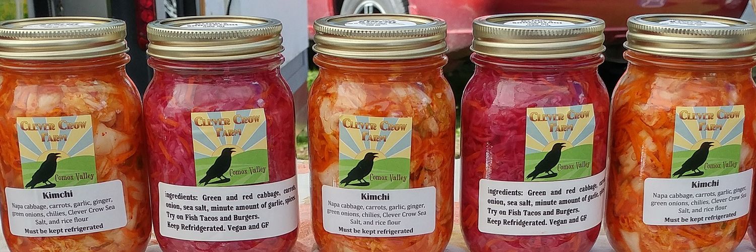 Clever Crow Sea Salt banner
