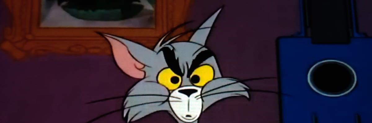 Dev_Z_17's profile banner image