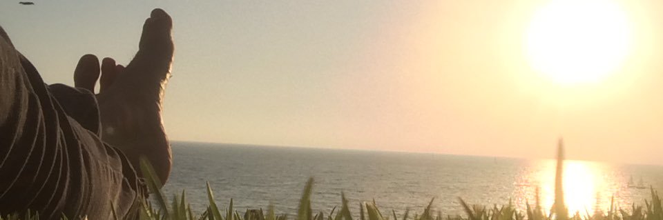 noamfri's profile banner image