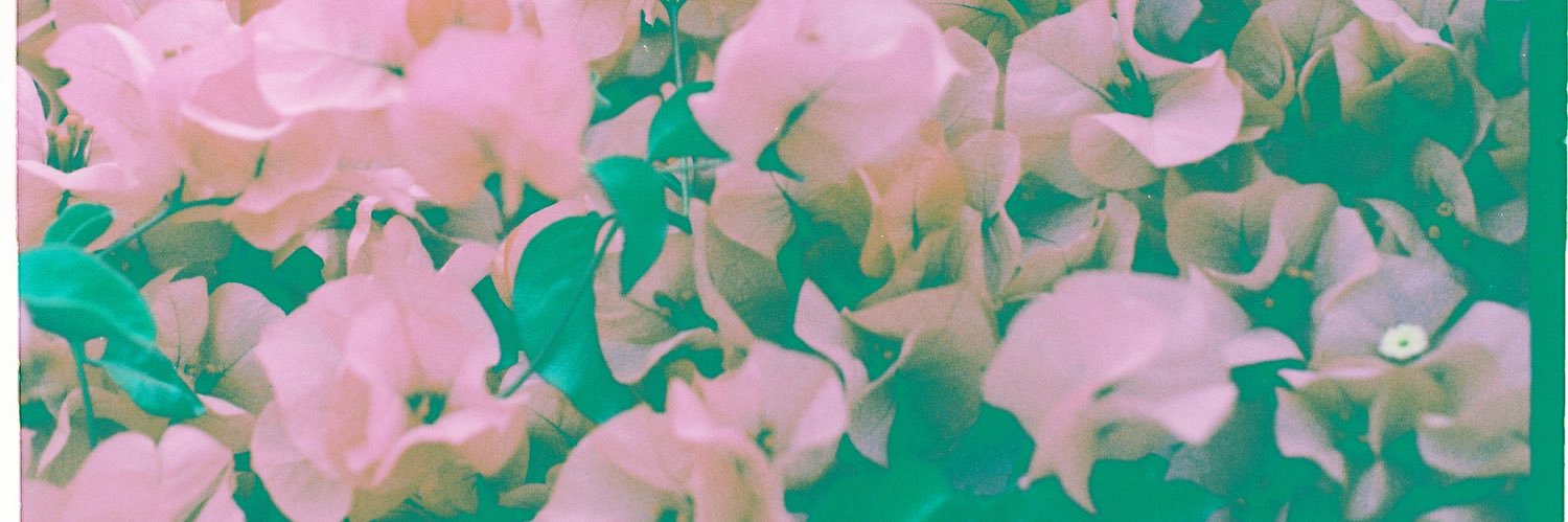 b🌳 banner
