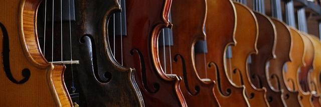 TLViolin's profile banner image