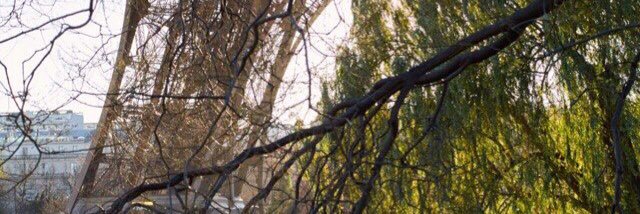 jdeanismydad's profile banner image