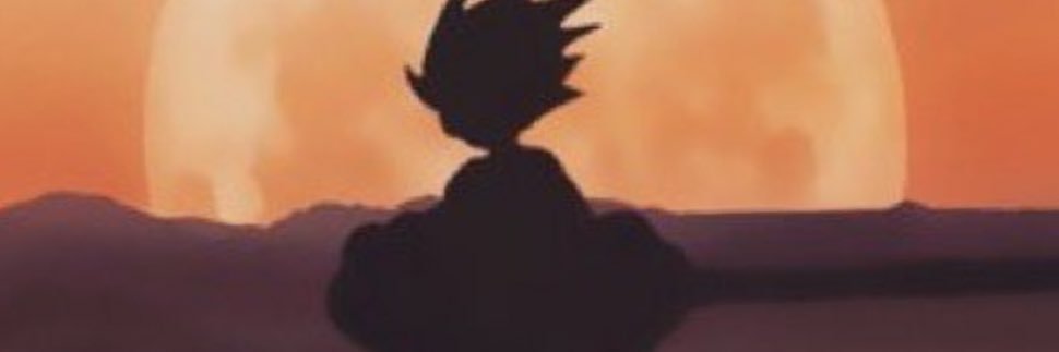 SilvaaXD_'s profile banner image