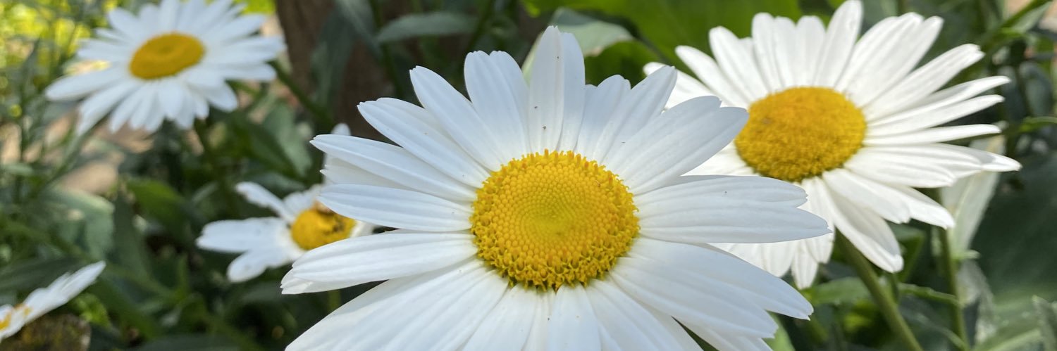 Melanymvm's profile banner image