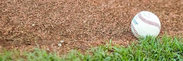 Bonivital Baseball banner