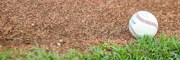 BoniBaseball Profile Banner