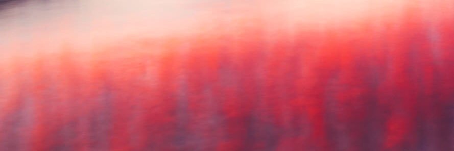 Y022a's profile banner image