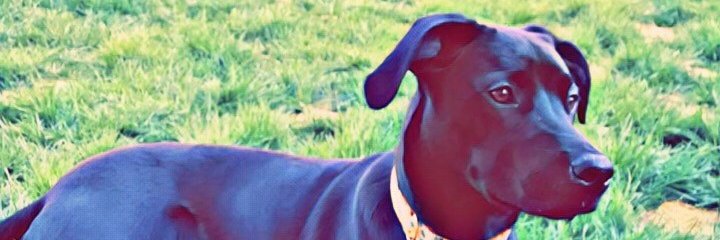 Adam Prescott 📝 banner