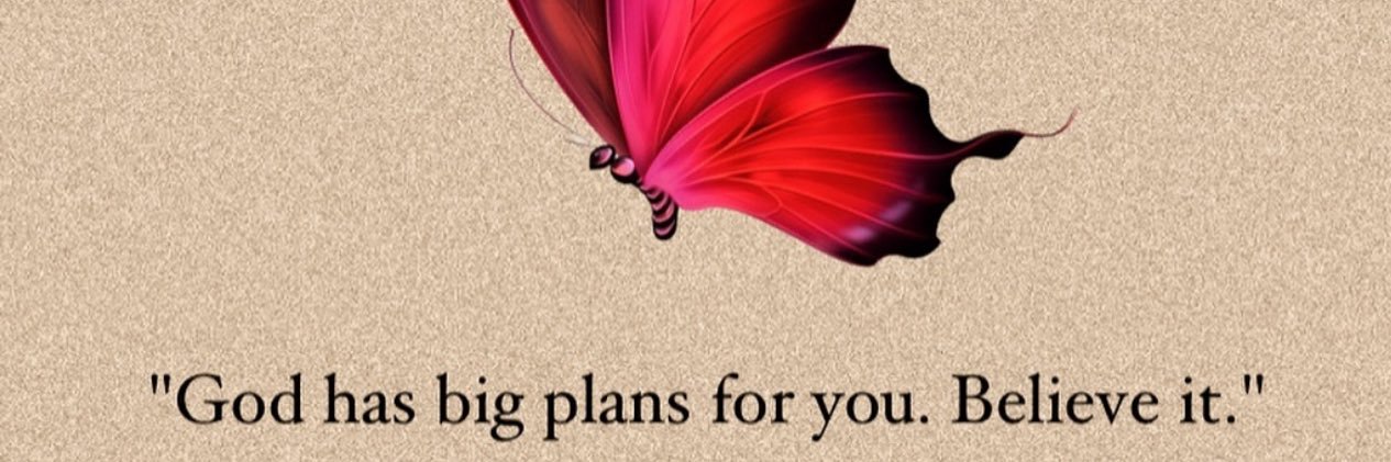 bra_plies's profile banner image