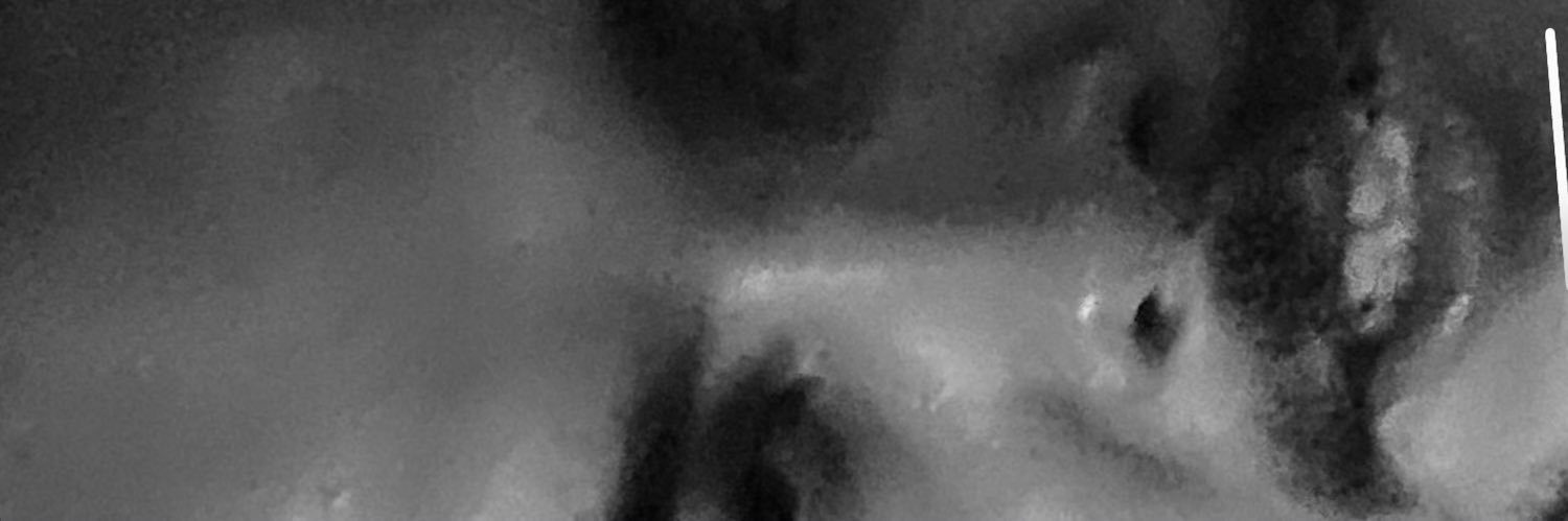 LeonardoMainini's profile banner image