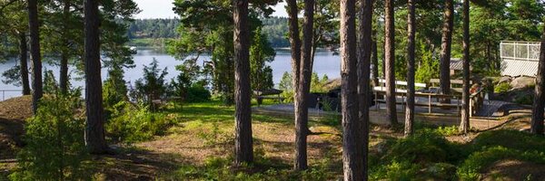 djuronaset Profile Banner