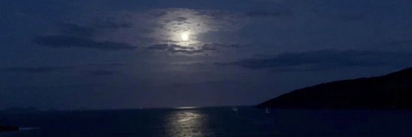 meluie's profile banner image
