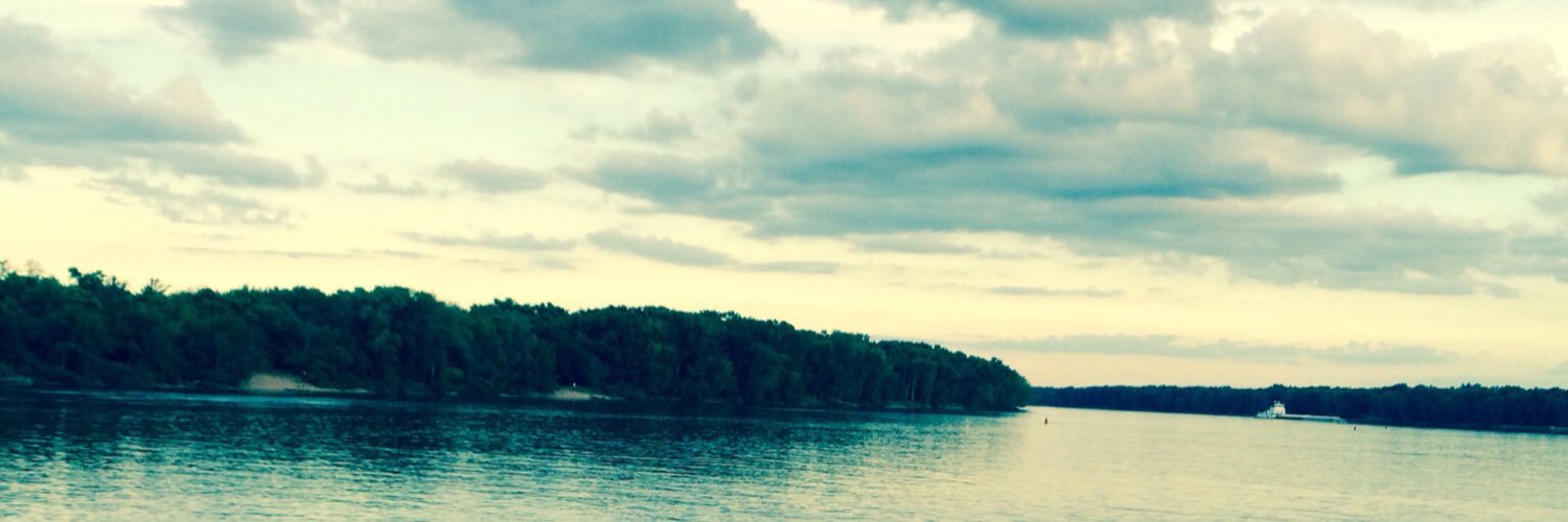 bethwagnermsw's profile banner image