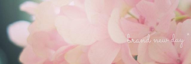 PaulaCuervo's profile banner image
