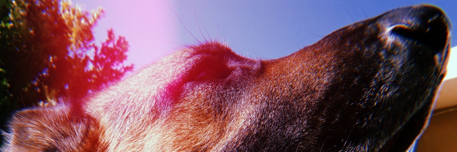 Roo_Monje's profile banner image