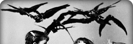 fleetwood_marc's profile banner image