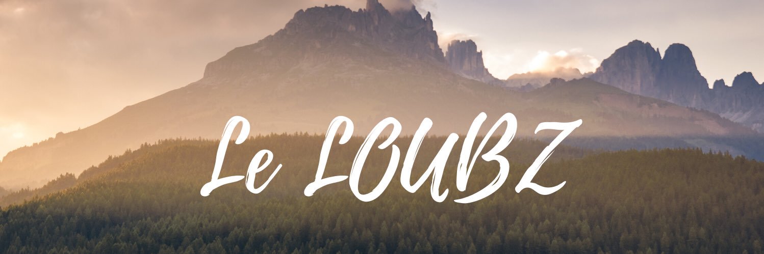 Leloubz's profile banner image
