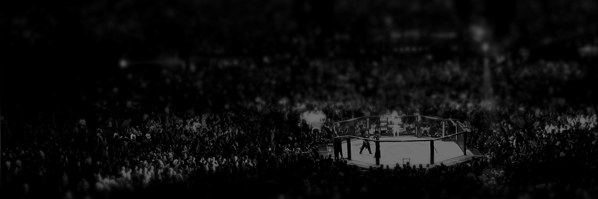 Fight Experts banner