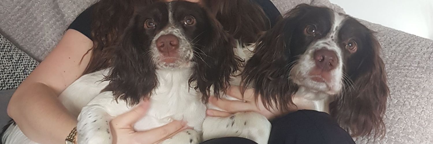 meggles196's profile banner image