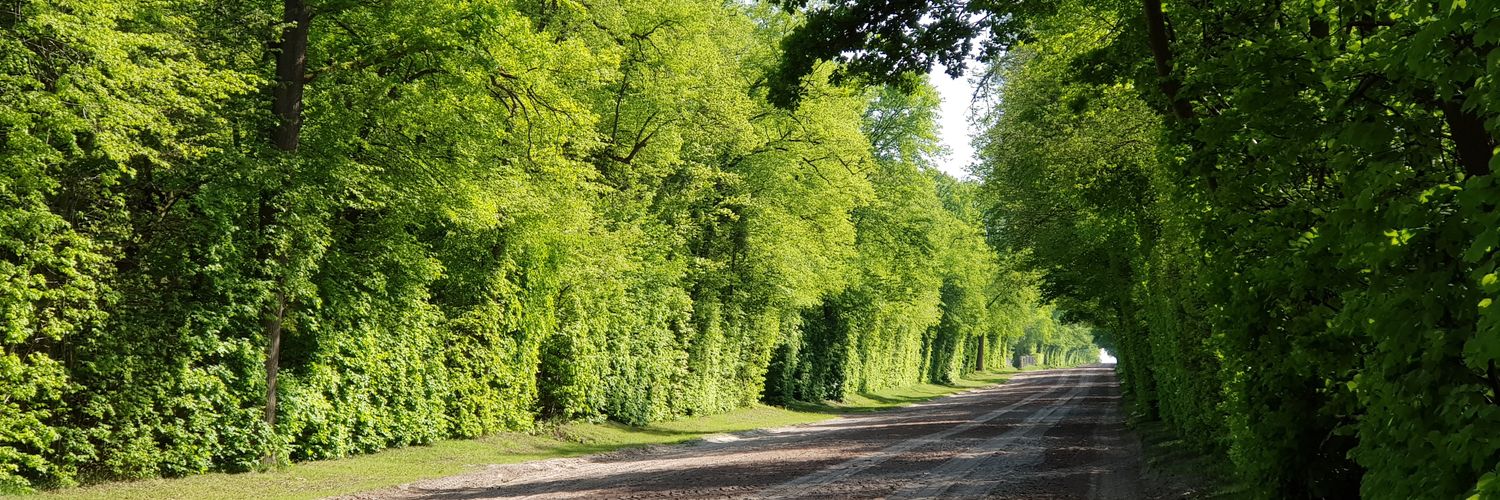 Ecurie Gavin Hernon banner