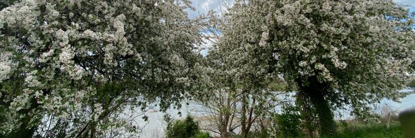 drolarkb Profile Banner