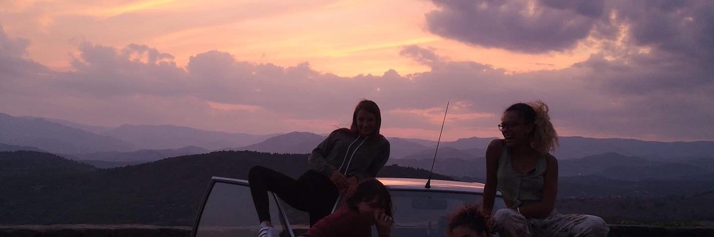 levraycamille's profile banner image