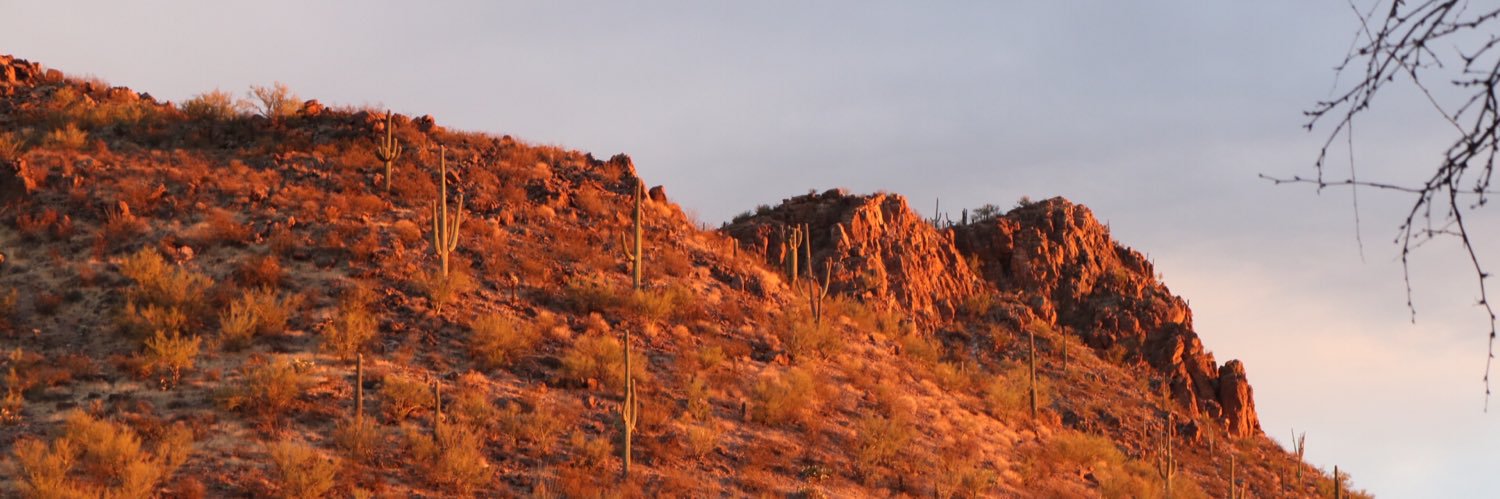 BridgetAshle's profile banner image