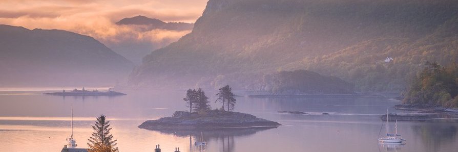 GP01@gpz01.bsky.social banner